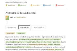 Todos los cambios que contempla la reforma de la ley de salud mental