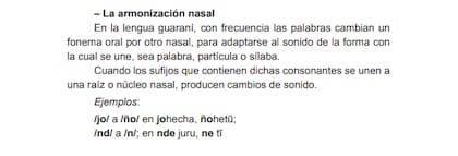 Captura de pantalla del libro sobre gramática guaraní de la Academia de Lengua Guaraní hecha el 13 de octubre de 2023