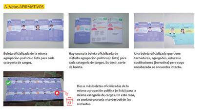 Captura del manual de la CNE