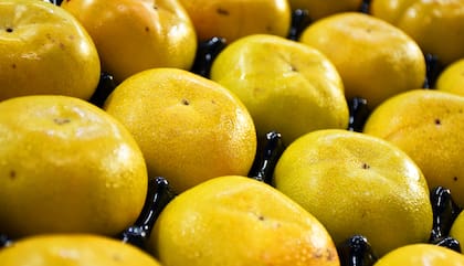 Caqui tiene 6 gramos de fibra por cada unidad de aproximadamente 168 gramos