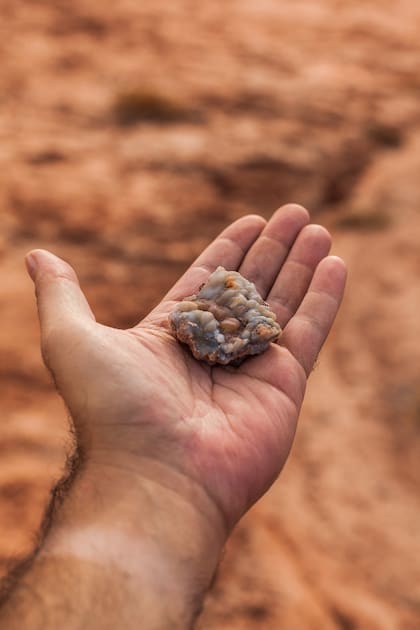 Caracoles marinos y otros fósiles se hallan con frecuencia en el Valle de la Luna de Río Negro.