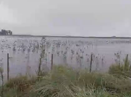 Carbap pidió respuestas urgentes ante un escenario que ya afecta producción y vida cotidiana