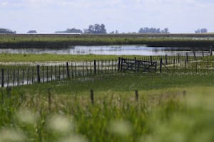 Fuerte cruce entre Carbap y el gobierno bonaerense por una cuota extra del Inmobiliario Rural