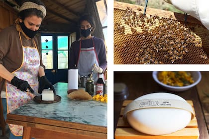 Cardo en flor, en General Lamadrid, trabaja con las riquezas que proporcionan las abejas: cera y miel.