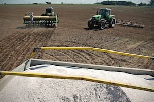 Proyectan una caída en el uso de fertilizantes por la suba de precios, el cepo al dólar y la falta de disponibilidad