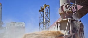 El megaswap que puede otorgar el campo