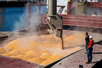 El proyecto en el Senado contempla un fuerte control sobre el comercio de granos