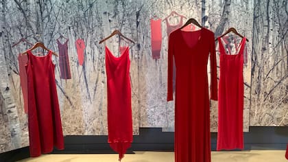 Carla siempre recomienda a Canadá como un buen lugar para vivir, pero, por su trabajo, conoce sus dificultades: "Hay un gran número de mujeres indígenas que son víctimas de violencia de género y también la muerte de mujeres indígenas es una noticia de moneda corriente", dice. (Foto: Indigenous Winnipeg)