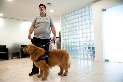 Carlos Agudo, el entrenador de Brownie y Titán, los guía en su labor y explica que el entrenamiento de los perros es cognitivo-emocional
