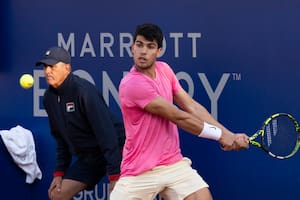 Argentina Open: Alcaraz y Norrie, los dos mejores del torneo, definen el título en el Buenos Aires