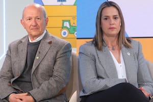 El Gobierno y el campo avanzan en la discusión técnica por una ley de semillas, pero persisten diferencias