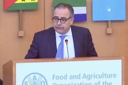 Carlos Cherniak reemplazará a Sonia Cavallo en la OEA