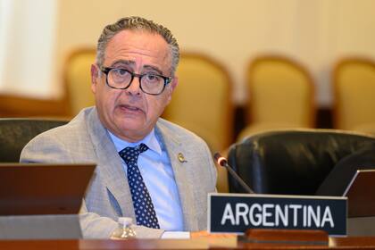 Carlos Cherniak, representante permanente de la Argentina ante la OEA