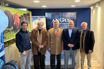 Carlos Fernández, Alfredo Gusmán, Nicolás Pino, Nicolás Bronzovich y Alfonso Bustillo