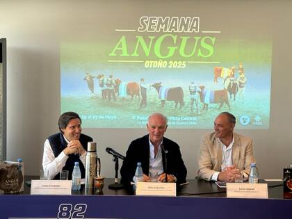 Carlos Fernández, secretario de la asociación; Alfonso Bustillo, presidente de la entidad, y Carlos Solanet, director comercial de La Rural SA