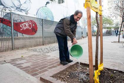 Carlos Gaye riega todos los días los ejemplares que tiene a su cuidado