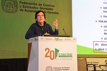 Carlos Melconian: “Hay olor a atraso cambiario para este sector”