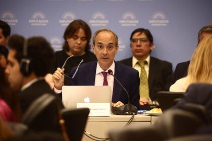 Carlos Torrendell, secretario de Educacion, durante el plenario de comisiones de la Cámara de Diputados.