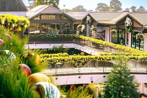 Cómo es el pueblo “más cool” de California que tuvo de alcalde a Clint Eastwood y enamoró a Brad Pitt