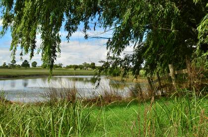 “Carmelo es una ciudad muy allegada a Buenos Aires porque está a 17 kilómetros lineales del Río de la Plata”, destaca Covello