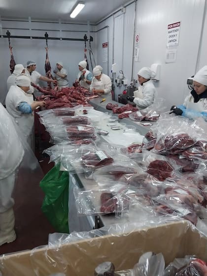 Carne de guanaco, en el Frigorífico Montecarlo, Río Gallegos, Santa Cruz