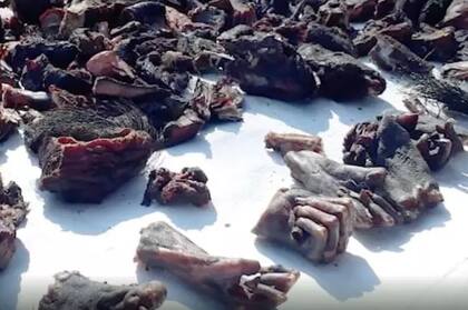 Carne de puercoespín y manos de monos carbonizadas se venden en estos mercados. Fuente: PETA