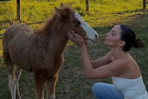 El hospital de caballos que defiende Caro Calvagni y que necesita ayuda para no desaparecer