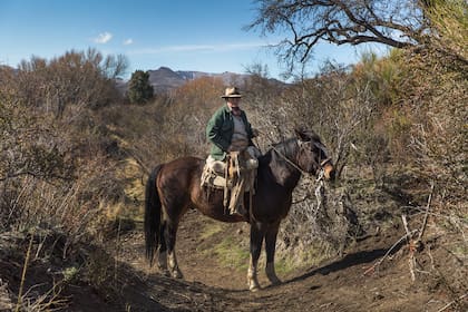 Carol Jones en su estancia
