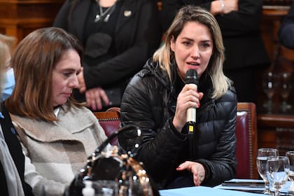 Carolina Losada en la reunión de la Comisión de Acuerdos del Senado de la Nación en la que trataron pliegos del poder judicial