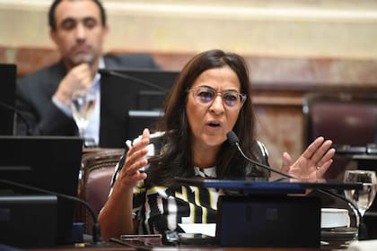 Carolina Moisés, en el Senado -
Foto:Mario Mosca / Comunicación Institucional Senado.-