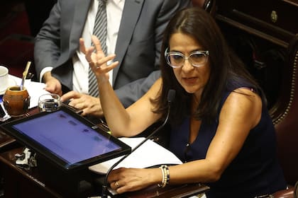 Carolina Moisés, la díscola del PJ que asumió como vicepresidenta de la Cámara de Senadores