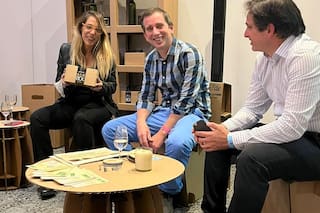 Hacen muebles de cartón para cuidar el medio ambiente