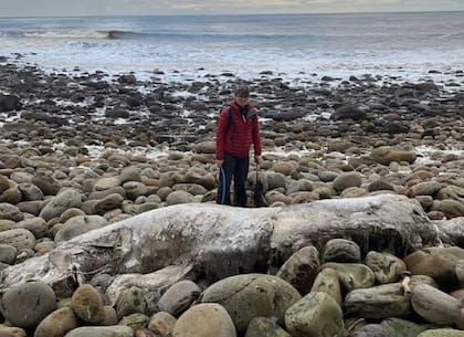 Caroline junto a la criatura muerta