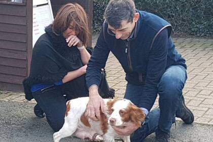 Caroline y Simon habían perdido las esperanzas de reencontrarse con su cocker spaniel