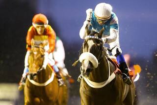 Turf. El "zainito del ojo hundido", sensación de las Carreras de las Estrellas