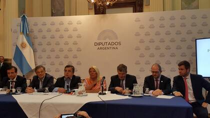 Carrió, Cabrera y Negri, hoy en el Congreso al presentar el proyecto