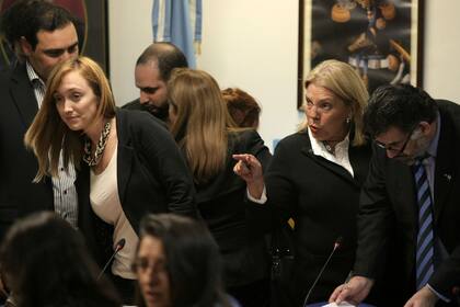 Fernández Sagasti y Elisa Carrió en el Congreso, durante un duro cruce cuando el kirchnerismo buscaba avanzar con el juicio político contra el juez de la Corte Carlos Fayt
