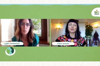 Diseño sustentable. Cuero de cactus, activismo y teñido natural en Bioweek