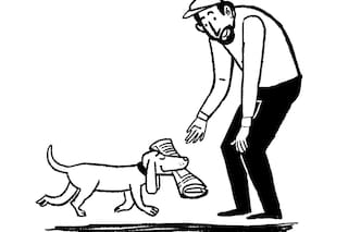 Cartas de lectores: Insólito, apología, sindicato y empresa