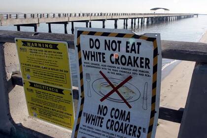 Cartel que advierte que no se coma corvina blanca pescada en el muelle, por haberse detectado en esa especie altas concentraciones de DDT