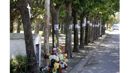 Carteles con la imagen de Santiago Maldonado en la Plaza Moreno