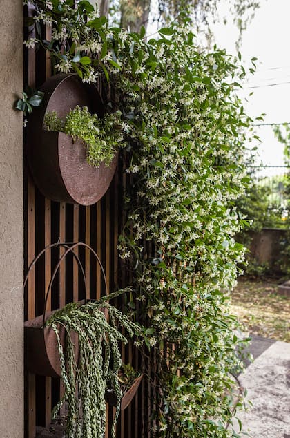 Casa Abril Polinizadora Revista Living