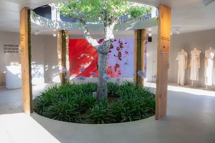 Casa AD envuelve la naturaleza propia de Distrito Arcos.