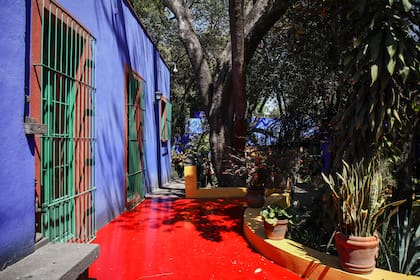 El jardín tropical en la casa que se construyó en 1904