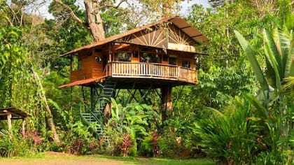 Casa de árbol de inspiración balinesa, en Jacó, Provincia de Puntarenas, Costa Rica.
Foto: Airbnb