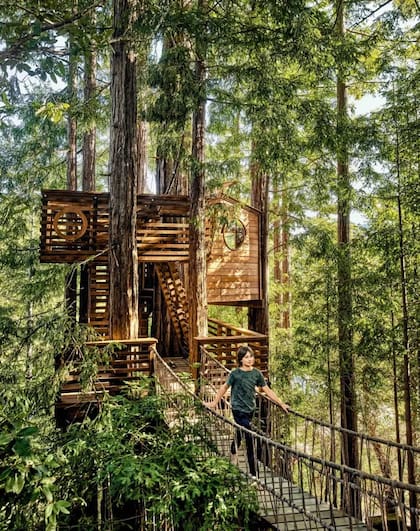 Casa del árbol Loma Mar de Jay Nelson