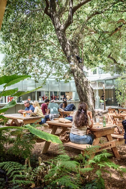 Casa Futuro recuperó un espacio cerrado durante años y lo convirtió en un polo donde paisaje, sostenibilidad y experiencias gastronómicas conviven frente al lago