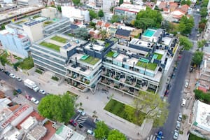 Crea proyectos con bosques en  plena ciudad  que tienen habitaciones de hotel que se pueden alquilar