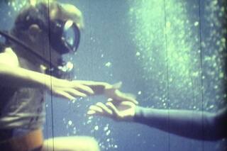 La nueva democratización del arte en una muestra digital única