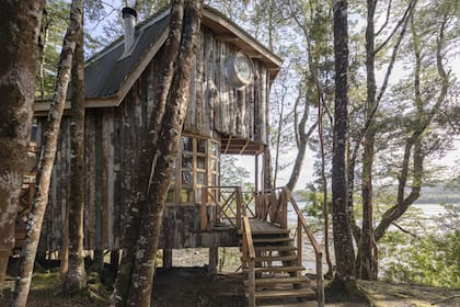 Casas en los árboles